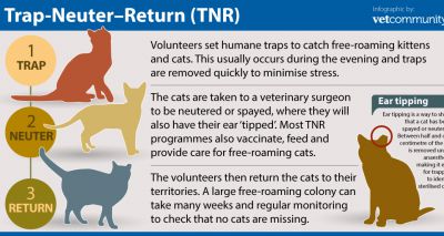 Free tnr sales