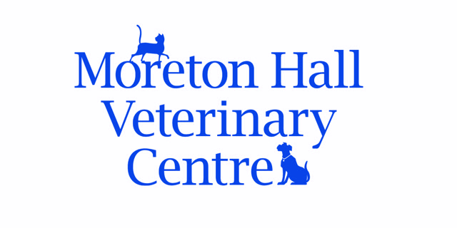 Dog Groomer (full or part-time) – Bury St Edmunds, Suffolk
