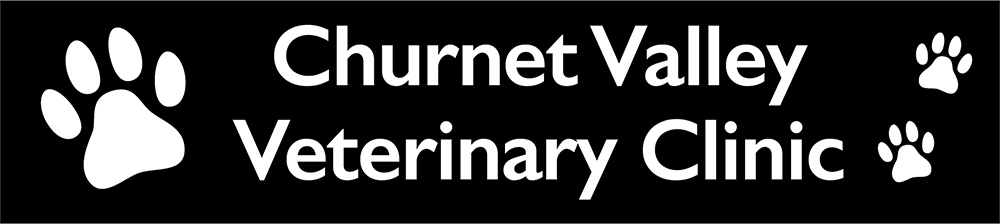 Small Animal Veterinary Surgeon (Locum) - Cheddleton, Staffordshire