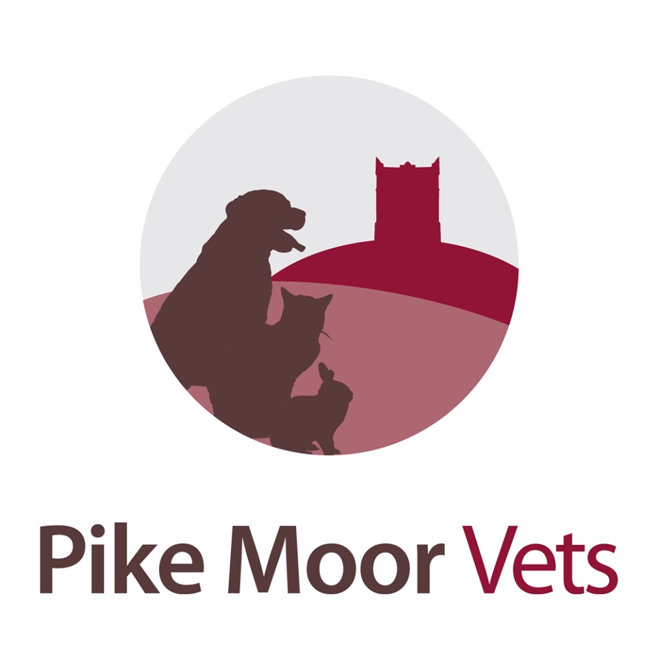 Small Animal Vet (Full or Part-time)  Horwich and Westhoughton, West Bolton