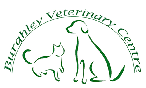 Small Animal Veterinary Surgeon (Permanent, Full-time)  Stamford, Lincolnshire