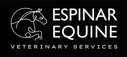 Ambulatory Equine Veterinary Surgeon  Newbury, West Berkshire