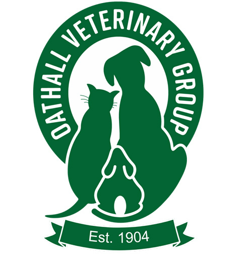 Veterinary surgeon (4-day week)  � Haywards Heath, West Sussex