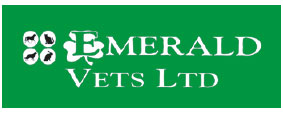Experienced full-time Veterinary Surgeon - Llanelli, Wales