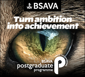 The BSAVA Postgraduate Certificate (PgCert) equips veterinary surgeons with the knowledge and expertise that they need to deal with the medical or surgical situations that they encounter regularly.